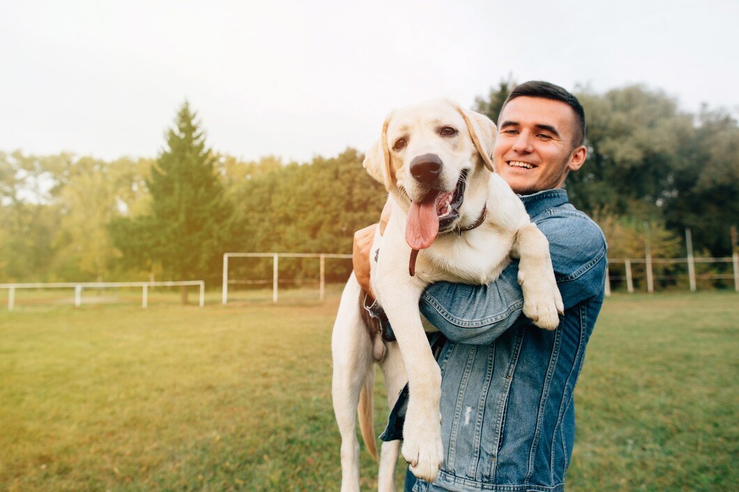 Is it safe to give CBD to your dog